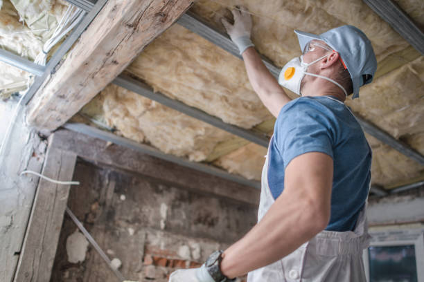 Best Specialty Insulation in Delhi Hills, OH