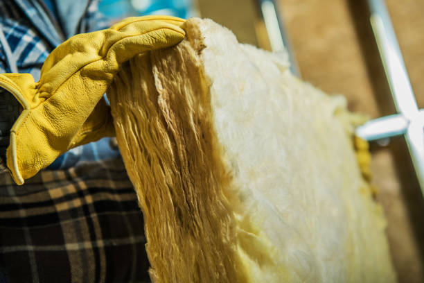 Best Insulation Maintenance and Repair in Delhi Hills, OH